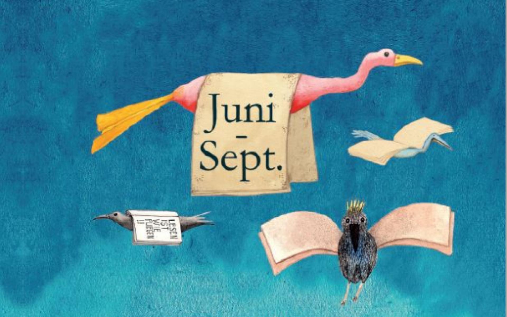 Lesesommer Sujet