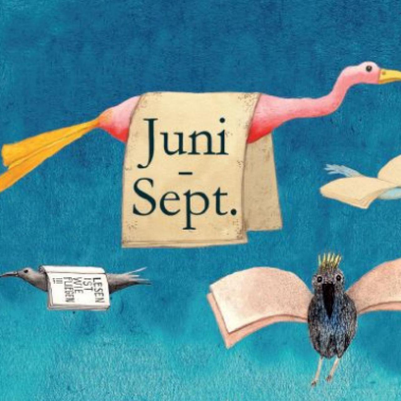 Lesesommer Sujet